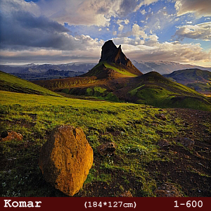 silivri alman komar 1 parçalı duvar posteri 