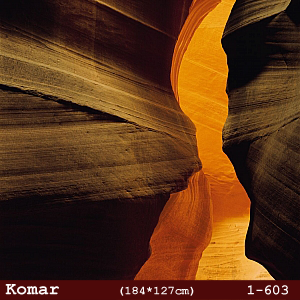 silivri alman komar 1 parçalı duvar posteri 