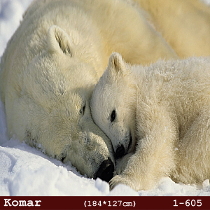 silivri alman komar 1 parçalı duvar posteri 