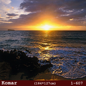 silivri alman komar 1 parçalı duvar posteri 