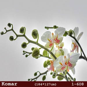 silivri alman komar 1 parçalı duvar posteri 