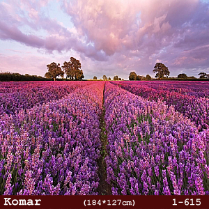 silivri alman komar 1 parçalı duvar posteri 