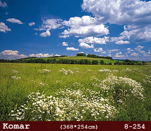 silivri alman komar 8 parçalı duvar posteri 