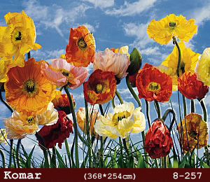 silivri alman komar 8 parçalı duvar posteri 