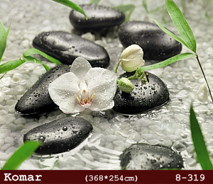 silivri alman komar 8 parçalı duvar posteri 