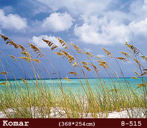 silivri alman komar 8 parçalı duvar posteri 