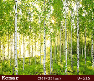 silivri alman komar 8 parçalı duvar posteri 