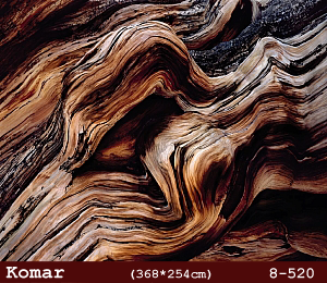 silivri alman komar 8 parçalı duvar posteri 