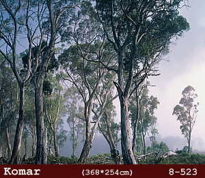 silivri alman komar 8 parçalı duvar posteri 