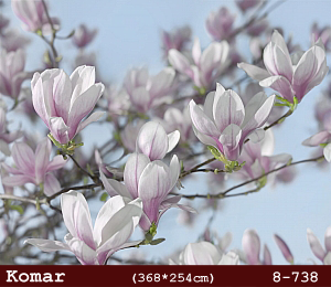 silivri alman komar 8 parçalı duvar posteri 