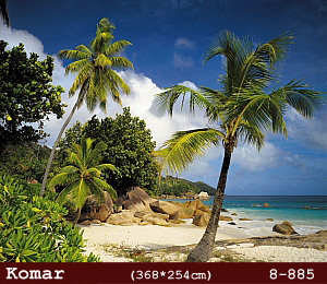 silivri alman komar 8 parçalı duvar posteri 