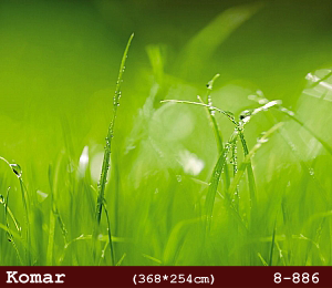 silivri alman komar 8 parçalı duvar posteri 