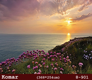 silivri alman komar 8 parçalı duvar posteri 