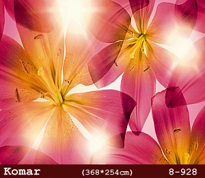 silivri alman komar 8 parçalı duvar posteri 