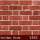 silivri yerli golden kids duvar kagıdı 