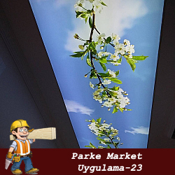 silivri asma gergi tavan