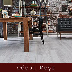 silivri çamsan parke