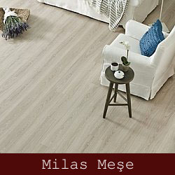 silivri çamsan parke